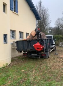 Abattage d'un pin parasol proche d'une maison, et de la voirie abattement