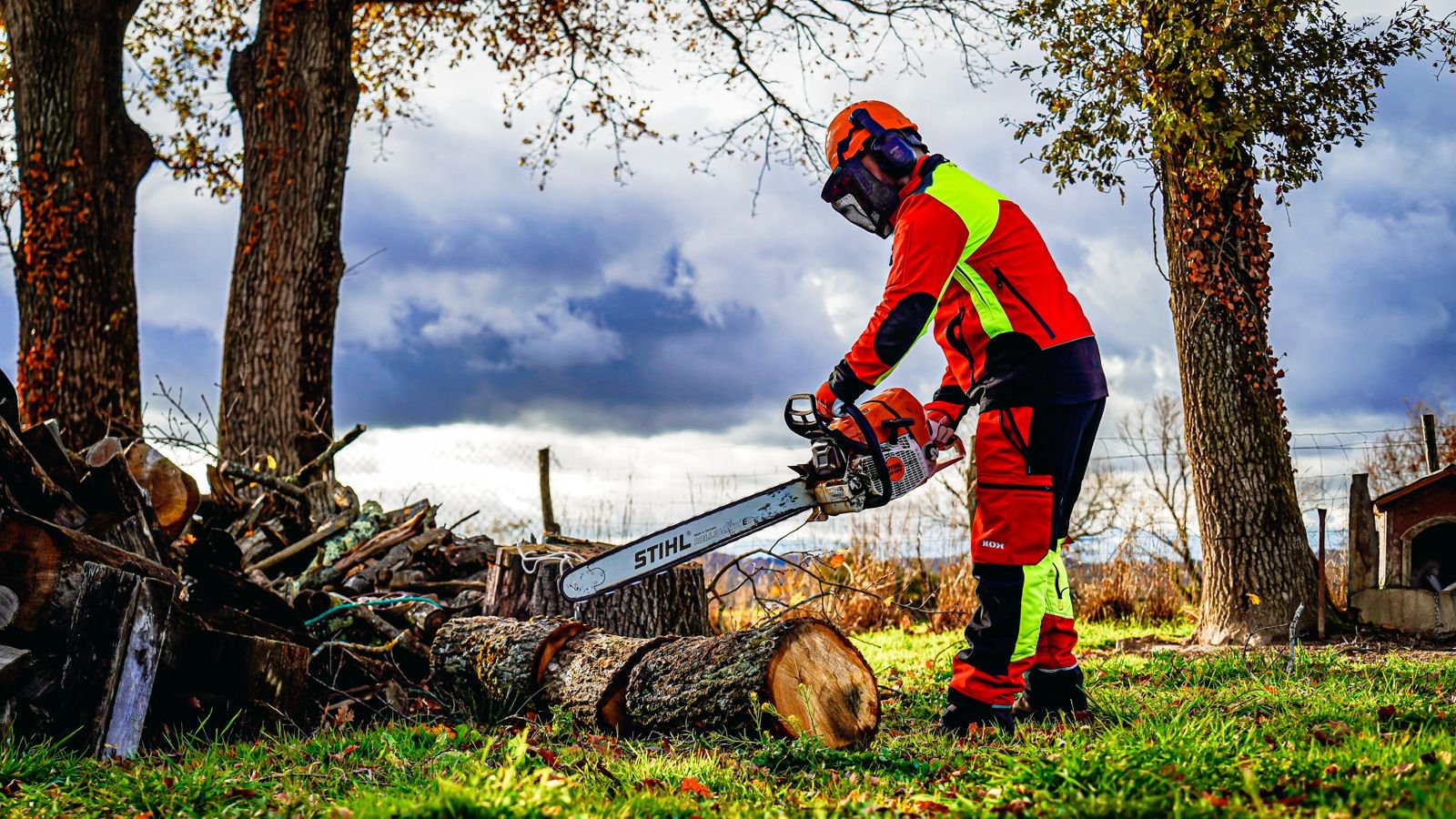 Tron en train d'être découpé par Laffont Multiservices après un élagage