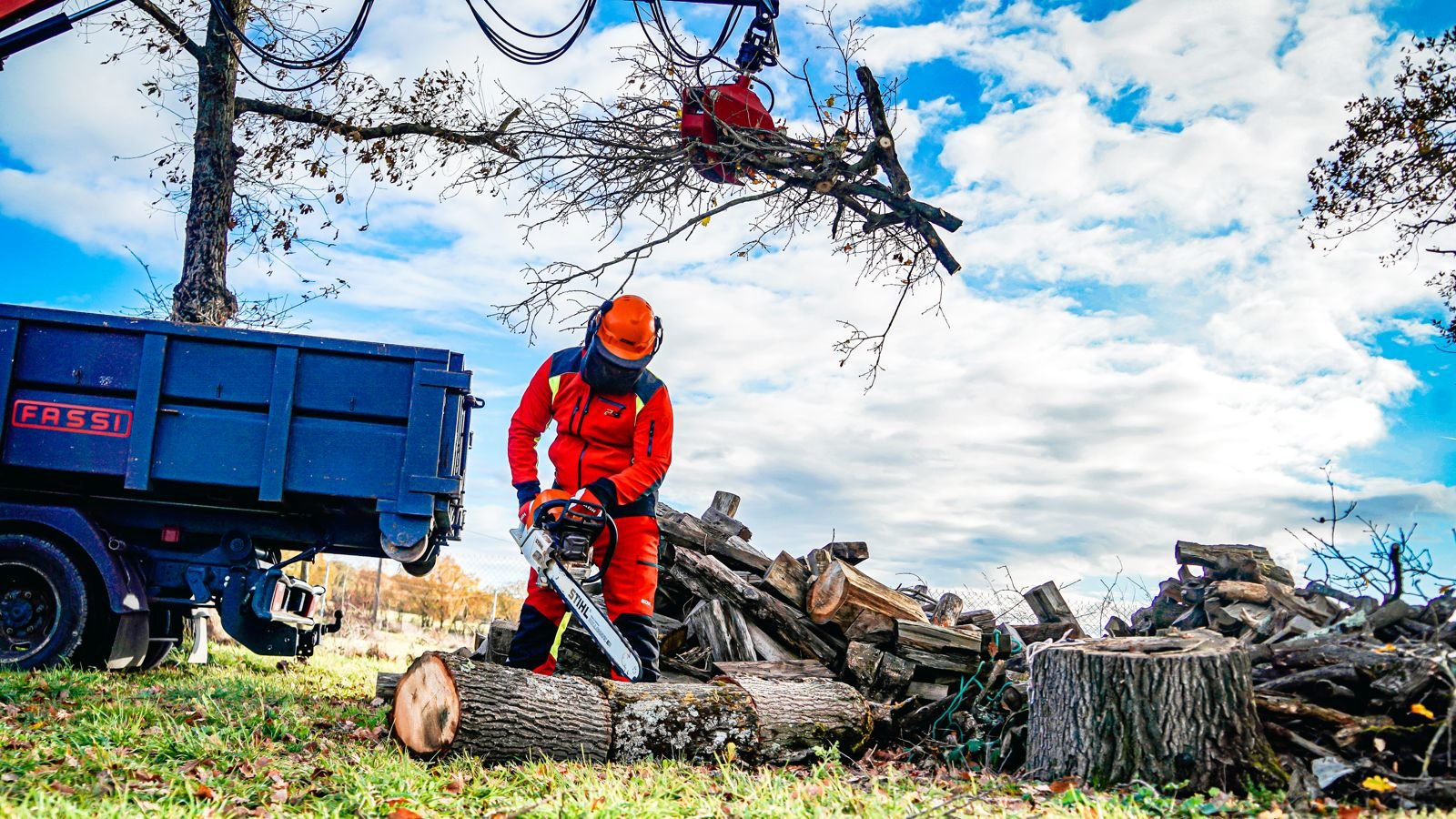 Elagage et Abattage d'arbres par Laffont Multiservices