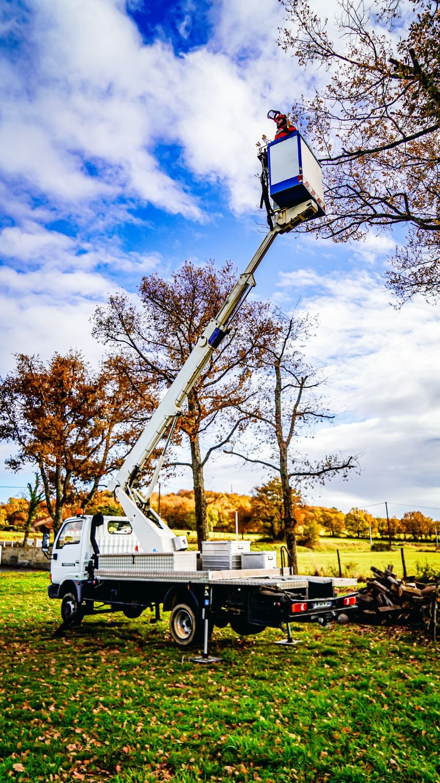 Camion Nacelle pour Élagage d'un arbre