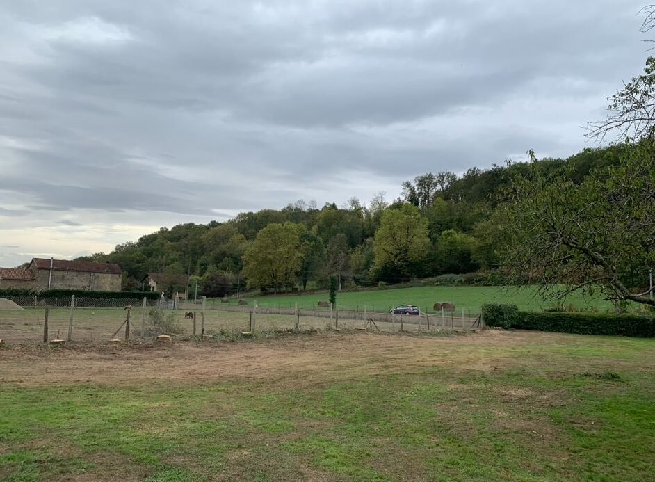 WhatsApp Image 2025-12-18 at 14.11.33 (1)