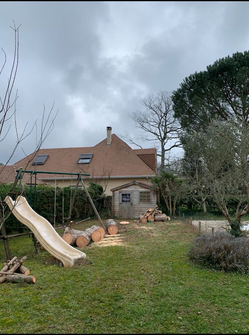 Laffont Multiservices Chantier d'élagage et d'abattage 1