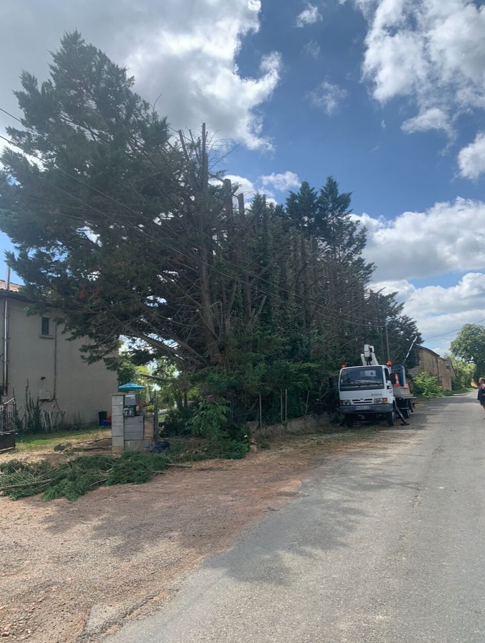 Laffont Multiservices Chantier d'élagage et d'abattage 4