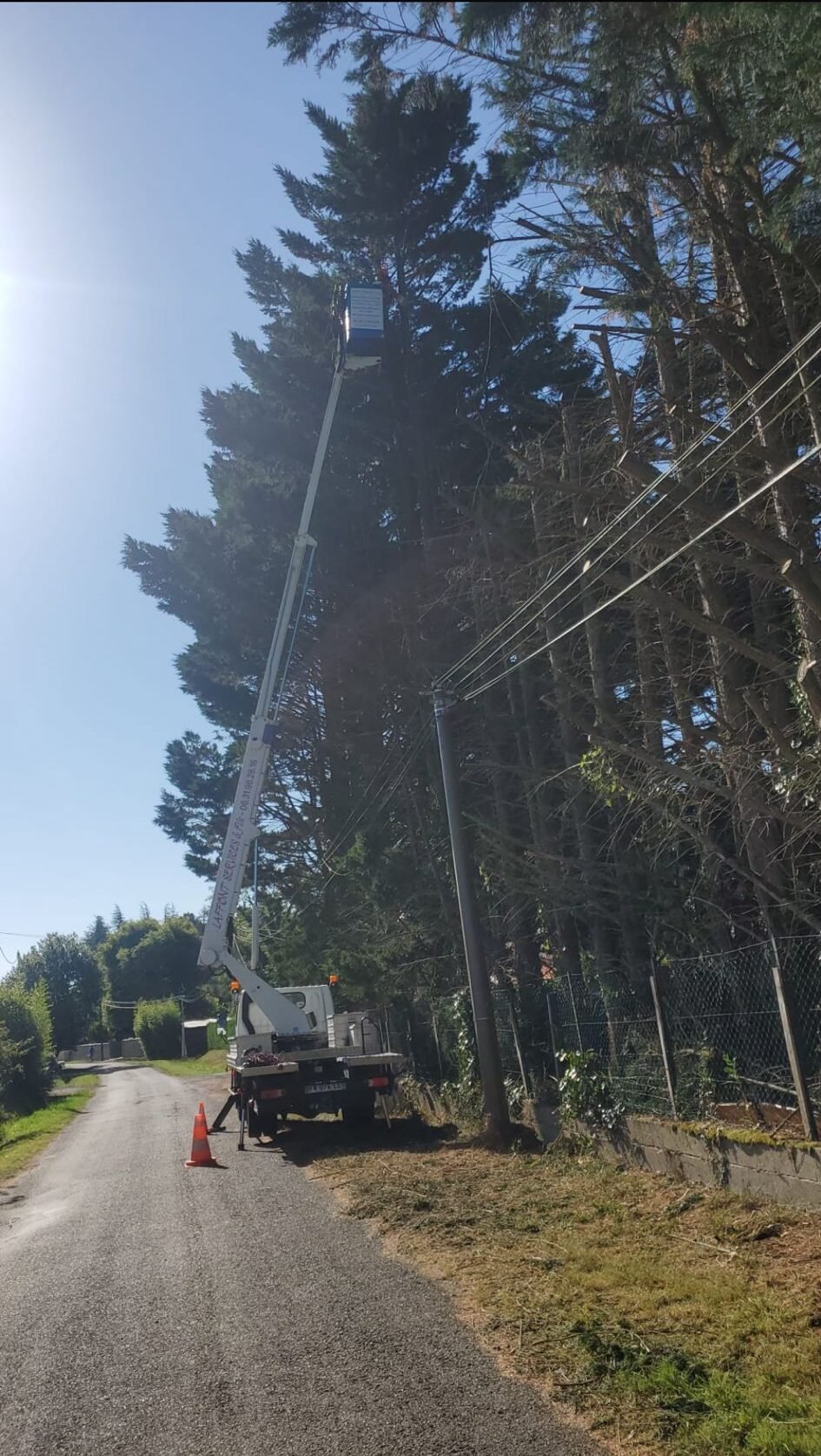 Laffont Multiservices Chantier d'élagage et d'abattage 5