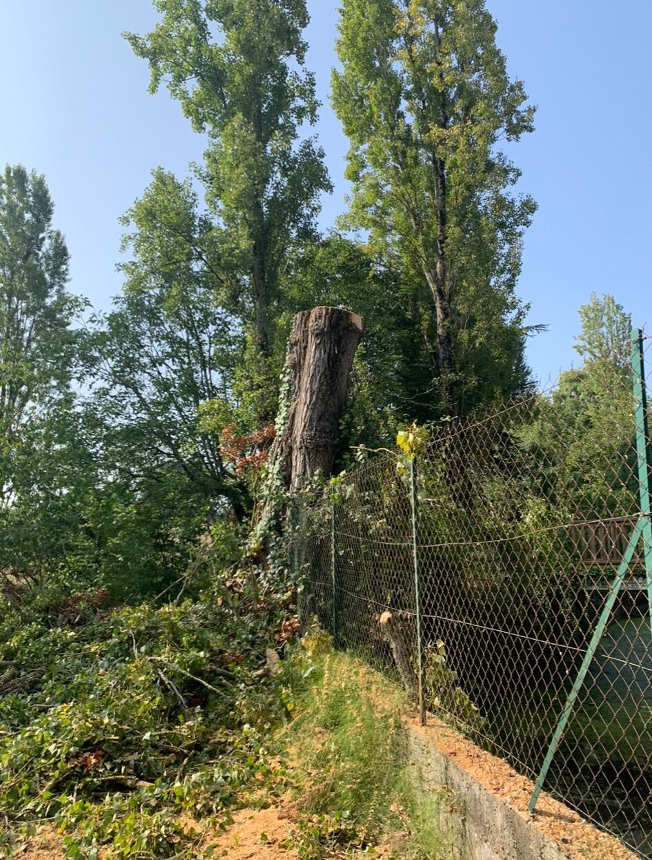 Laffont Multiservices Chantier d'élagage et d'abattage 9