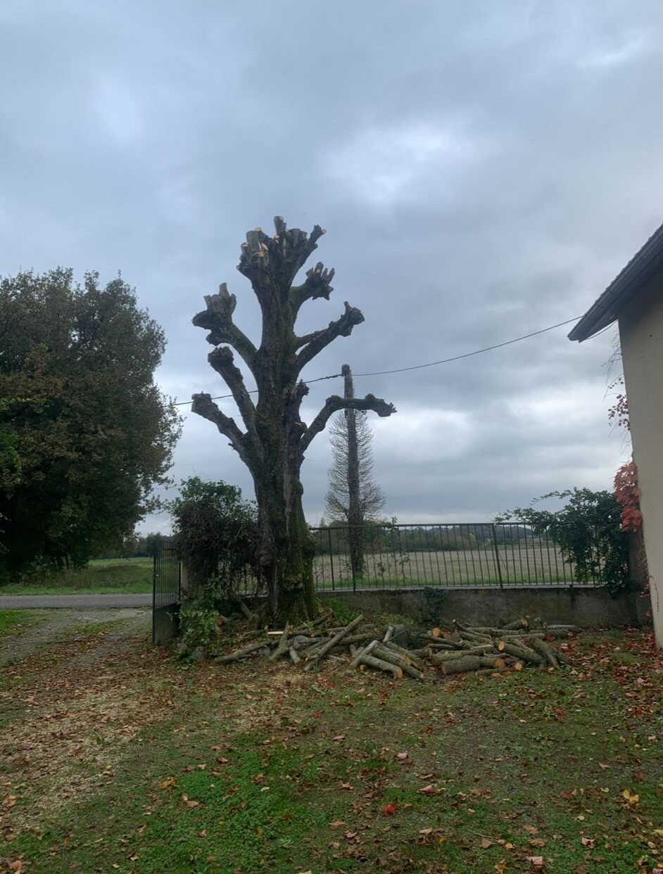 WhatsApp Image 2025-12-18 at 14.12.41 (1)