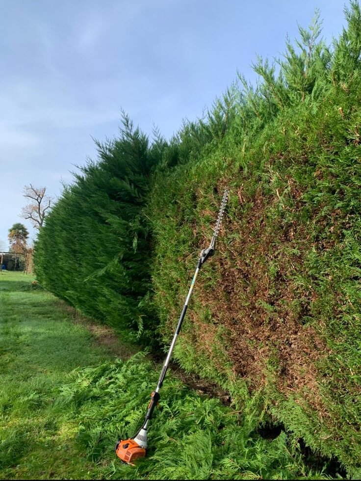 WhatsApp Image 2025-12-18 at 14.12.55