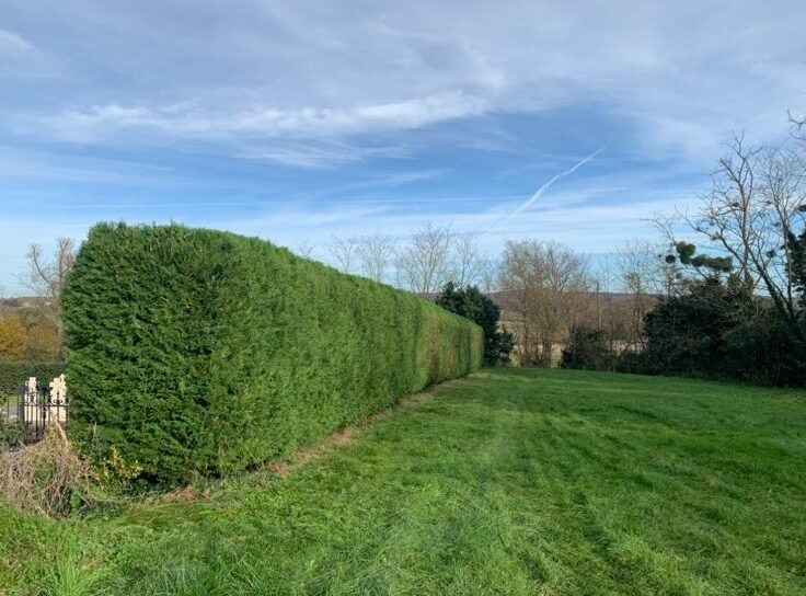 WhatsApp Image 2025-12-18 at 14.12.56