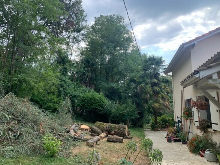 WhatsApp Image 2025-12-18 at 14.13.11 (1)