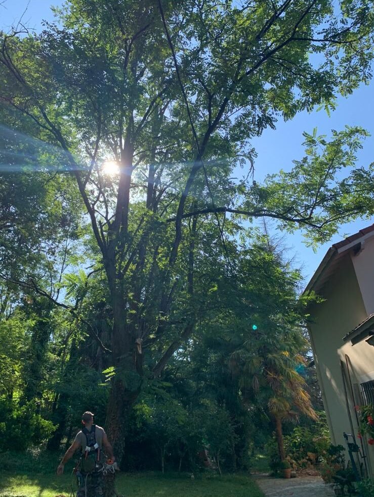 WhatsApp Image 2025-12-18 at 14.13.11