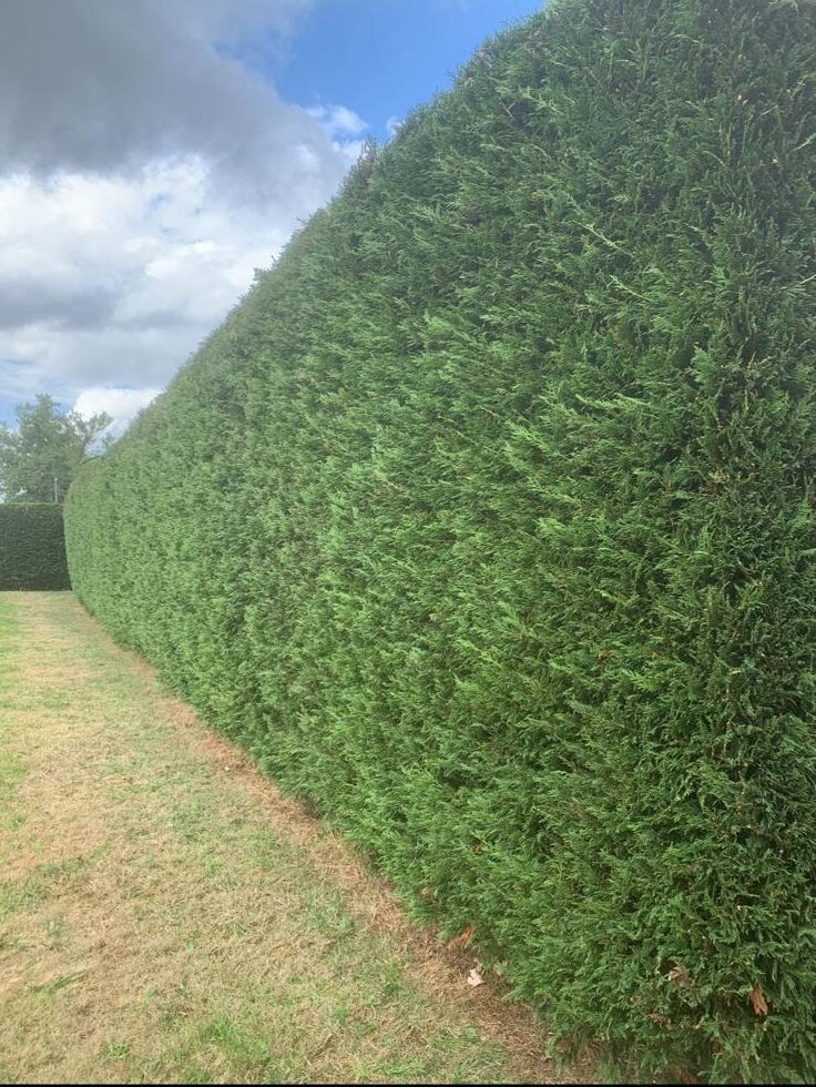 WhatsApp Image 2025-12-18 at 14.14.16 (1)