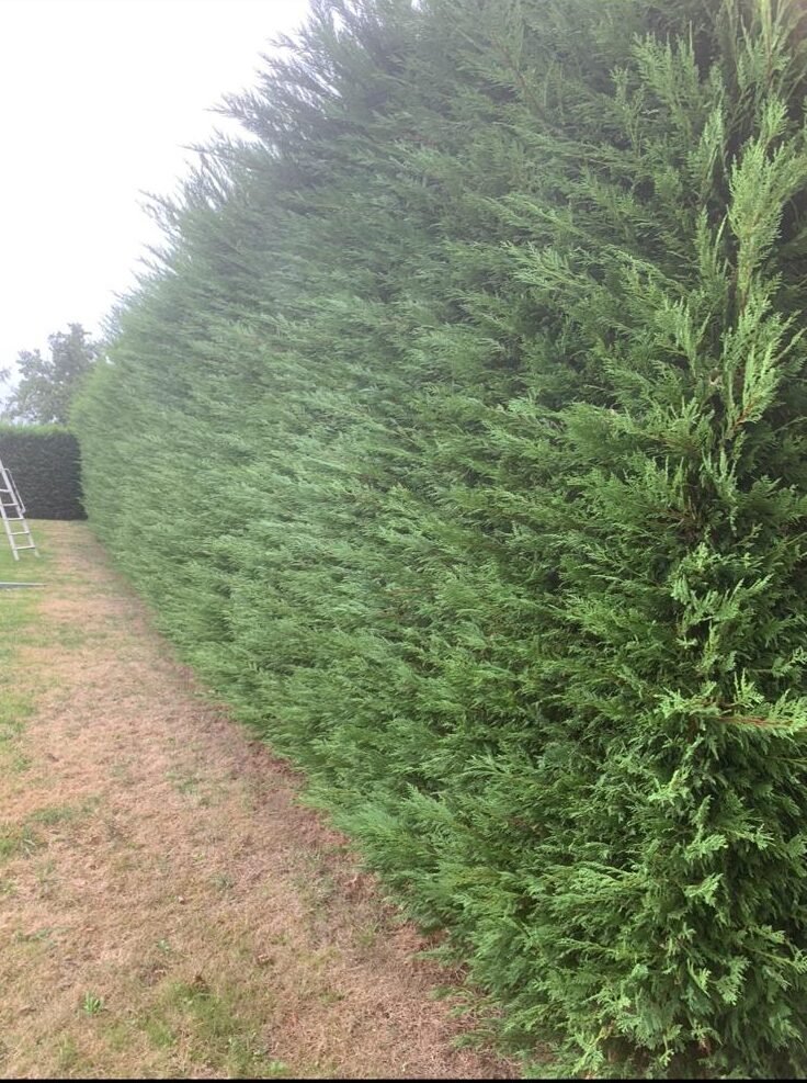 WhatsApp Image 2025-12-18 at 14.14.16